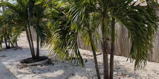 8500 Blind Pass Rd Gallery 4