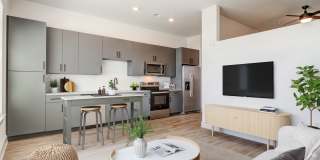 Solis Gainesville Gallery 36