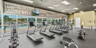 Pine Groves Gallery 28