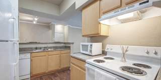 Woodland Park Gallery 4