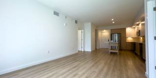 Caroline at Golden Glades Gallery 41