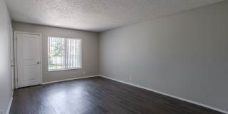 Broadmoor Ridge Gallery 13