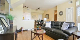 Springs at Palma Sola Gallery 43