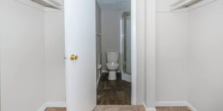 The Madeira Gallery 8