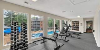 Turtle Lake Gallery 31