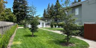 Greenhaven Apartments ~ In the Heart of Sacramento’s Pocket Neighborhood! Gallery 5