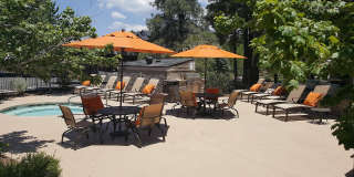 The Lodge Gallery 3