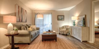 Palmetto Grove Palmetto Grove Gallery 16