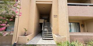 Great apartment for rent! Gallery 1