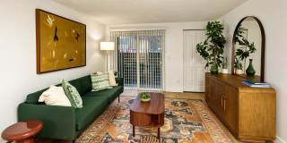 ReNew Dash Point Gallery 12