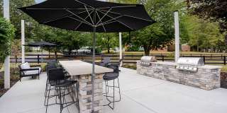 Steeplechase Gallery 48