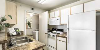 Maison's Landing Gallery 40