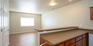 427 1st Ave N, 102 Gallery 20