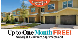 Cape Morris Cove Gallery 1