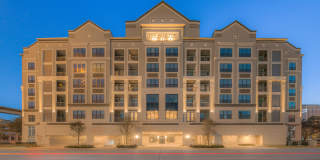 The Hamilton Gallery 17