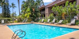 Fully Furnished, 1 Bed/1 Bath, Kihei Bay Vista with Pool Fully Furnished, 1 Bed/1 Bath, Kihei Bay Vista with Pool Gallery 33
