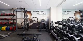 The Emerson Gallery 21