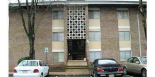 Amazing 1 Bedroom/ 1 Full bathroom property Gallery 1