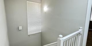 8880 OLD KINGS Road Gallery 24