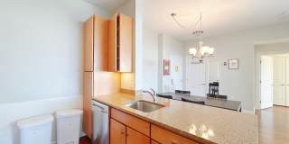 4 Repton Place - 4415 Gallery 3