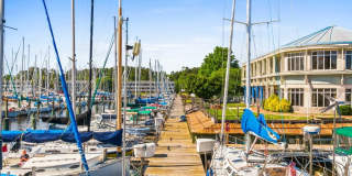Gated Community + Marina Access  ✅ Live Where Others Vacation!! Gallery 1