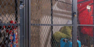 7316 40th Street Gallery 26