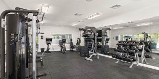 Bermuda Cay Gallery 29