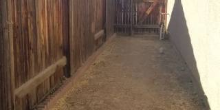 805 Sunset Meadow Ln. Gallery 19