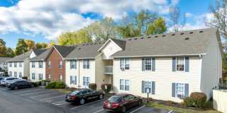 Forest View Gallery 12