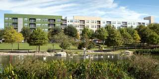 AMLI at Mueller Gallery 33