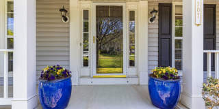 Woods at Louviers Colonial - Showing Sunday 5/3 11-11:30am Gallery 1