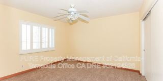 26460 Spaniel Lane Gallery 11