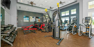 TGM Ibis Walk Gallery 24