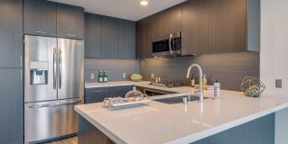 The Merian Gallery 51