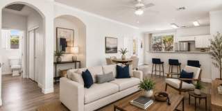 2520 Bottle Palm Court Gallery 22