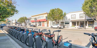 Sofi Berryessa Gallery 31