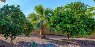 1568 E San Remo Avenue Gallery 58