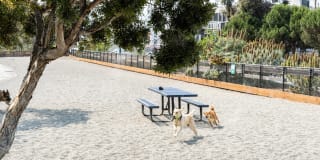 Mission Bay by Windsor Gallery 40