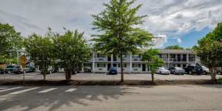 The Meadows Gallery 10