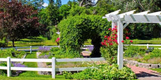 517 Shady Glen Drive Gallery 19