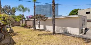 Corner lot home on a classic tree lined Beverly Hills street Gallery 18