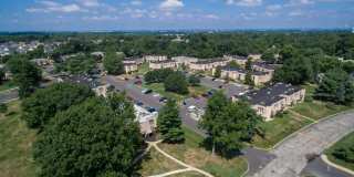 Forest Creek Gallery 15