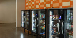 Livano Oakwood Gallery 34