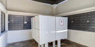 Renaissance Gallery 44