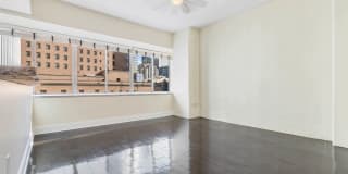 Pegasus Gallery 25