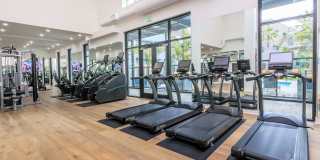 The Willows Gallery 9