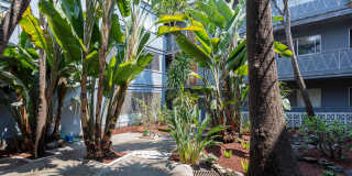 1540 Jackson Street Gallery 11