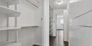 Algonquin Park Gallery 46
