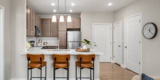 The Canopy Gallery 7