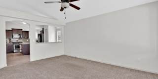 14900 TIM HARDAWAY Gallery 7
